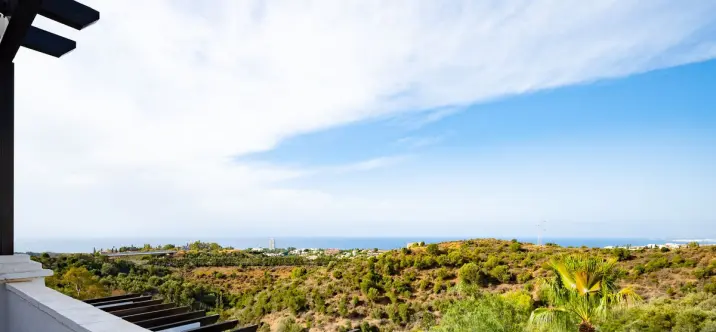 Sale of penthouse duplex in Altos de los Monteros 0