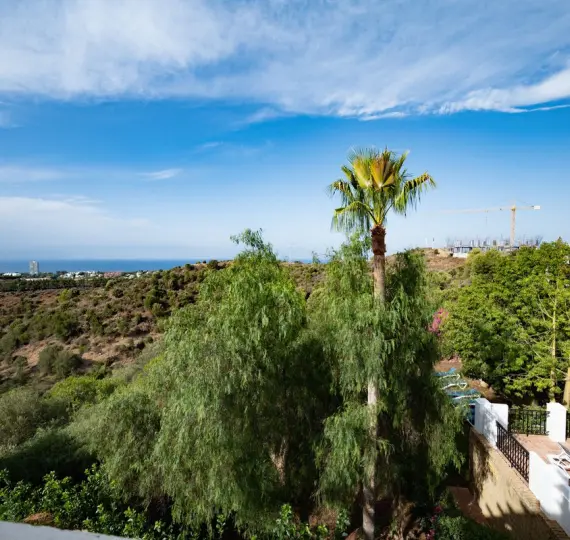 Sale of penthouse duplex in Altos de los Monteros