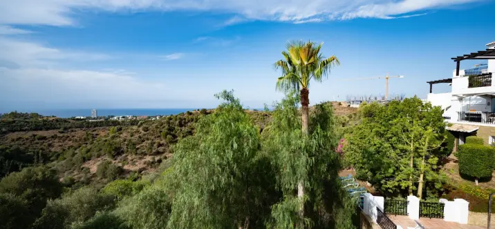 Sale of penthouse duplex in Altos de los Monteros 2