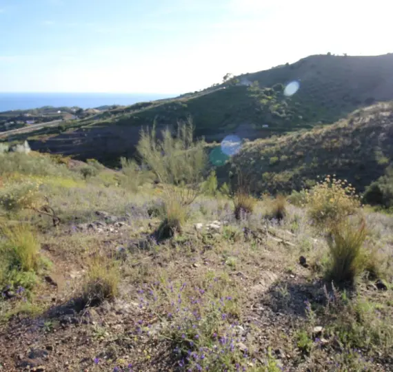 Venta de parcela residencial en Benajarafe