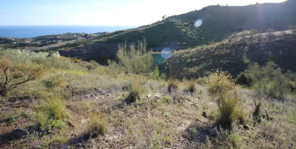 Продажа  жилого участка в Benajarafe 2