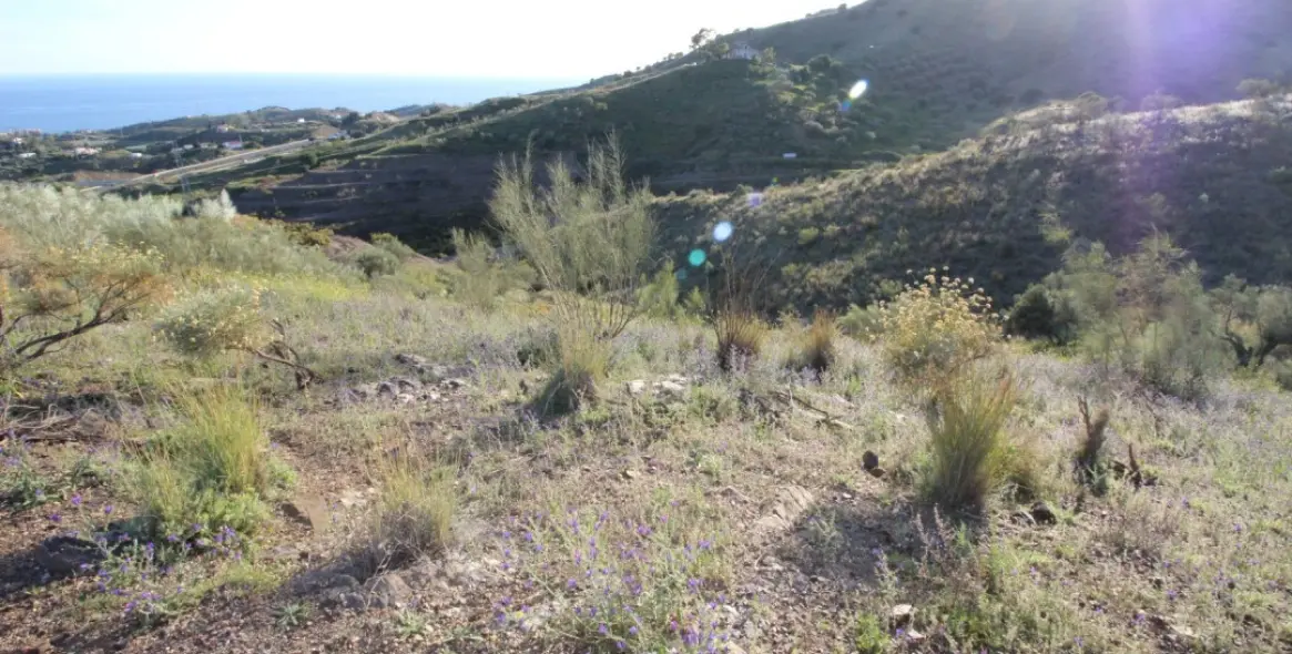 Продажа  жилого участка в Benajarafe 3