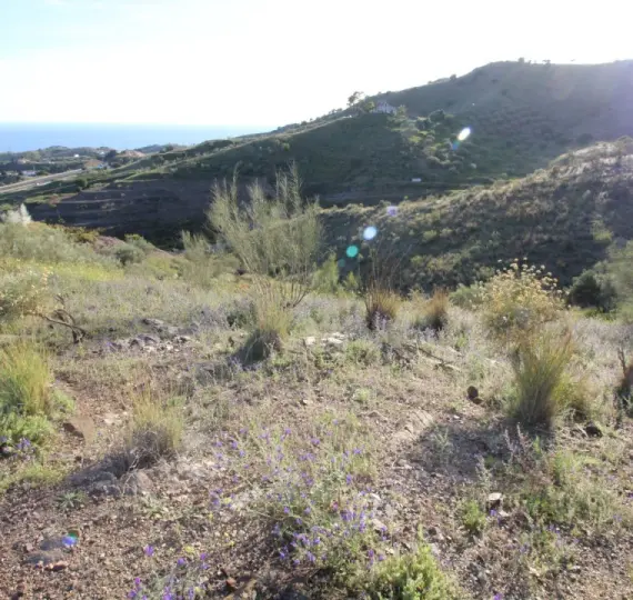 Venta de parcela residencial en Benajarafe