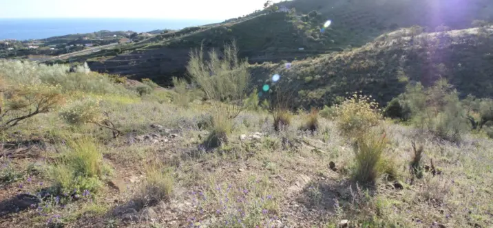 Venta de parcela residencial en Benajarafe 2