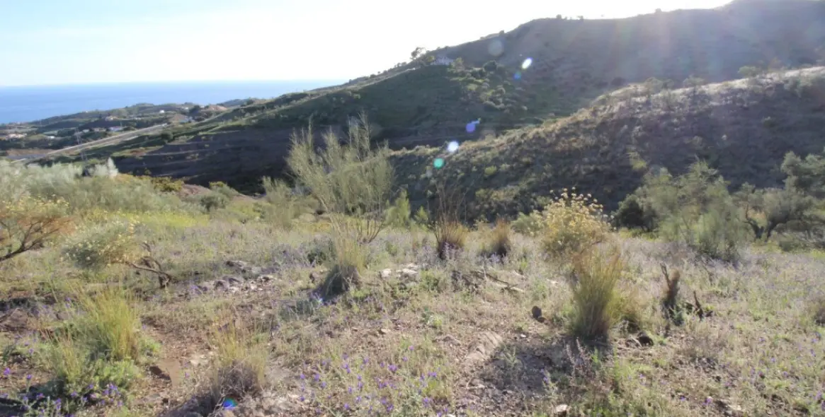 Продажа  жилого участка в Benajarafe 4