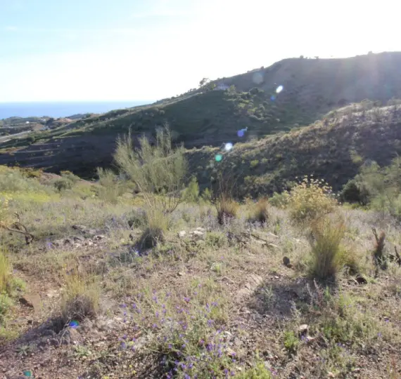 Venta de parcela residencial en Benajarafe