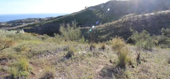 Venta de parcela residencial en Benajarafe 3