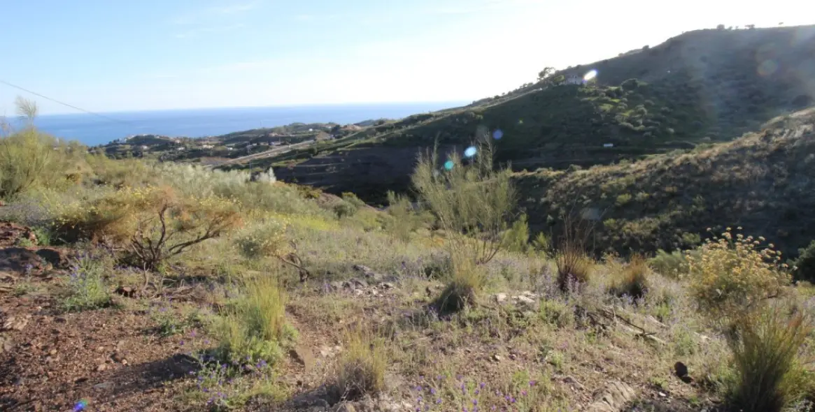 Продажа  жилого участка в Benajarafe 5