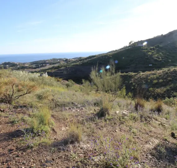 Venta de parcela residencial en Benajarafe