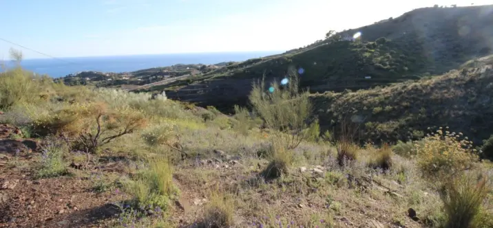 Venta de parcela residencial en Benajarafe 4