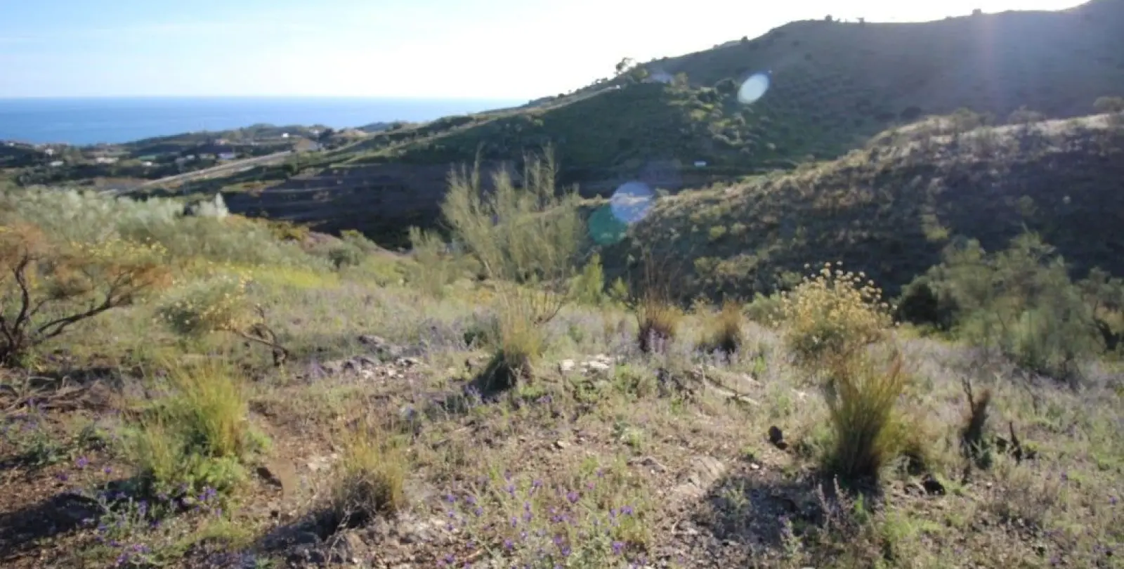 Sale of residential plot in Benajarafe 1