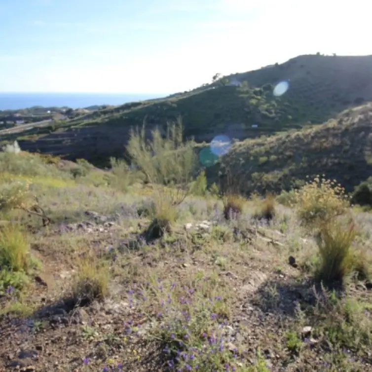 Sale of residential plot in Benajarafe