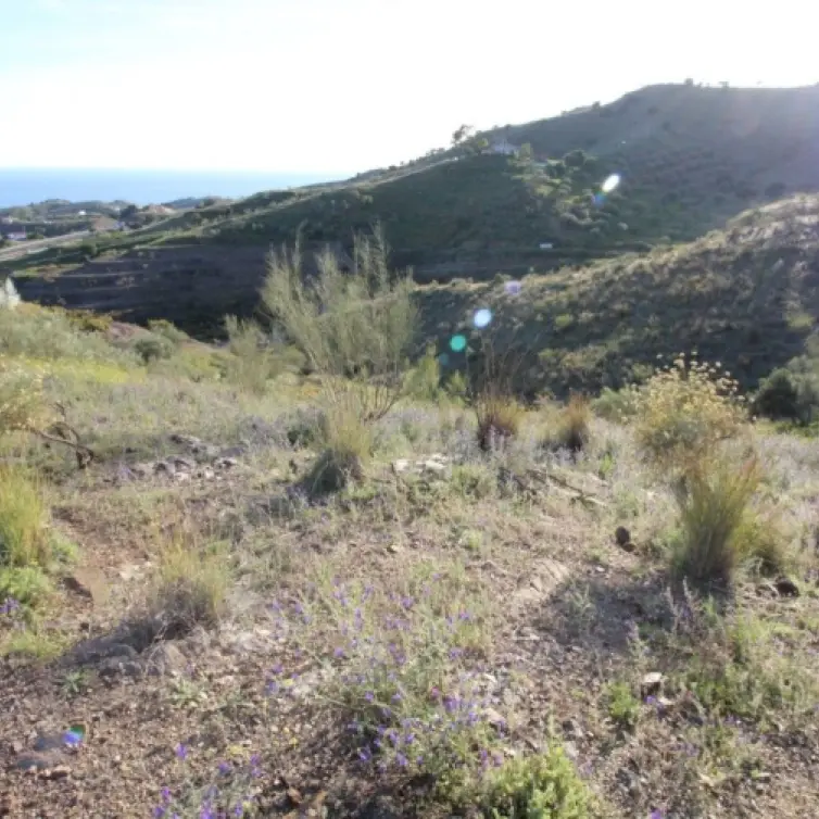 Sale of residential plot in Benajarafe