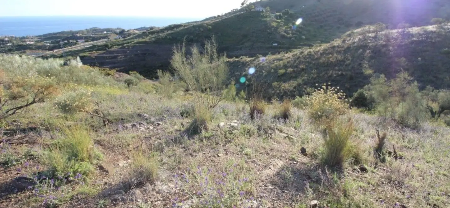 Sale of residential plot in Benajarafe 2