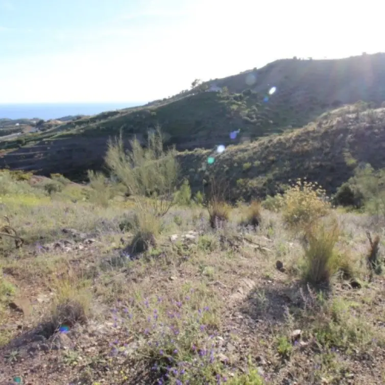 Sale of residential plot in Benajarafe