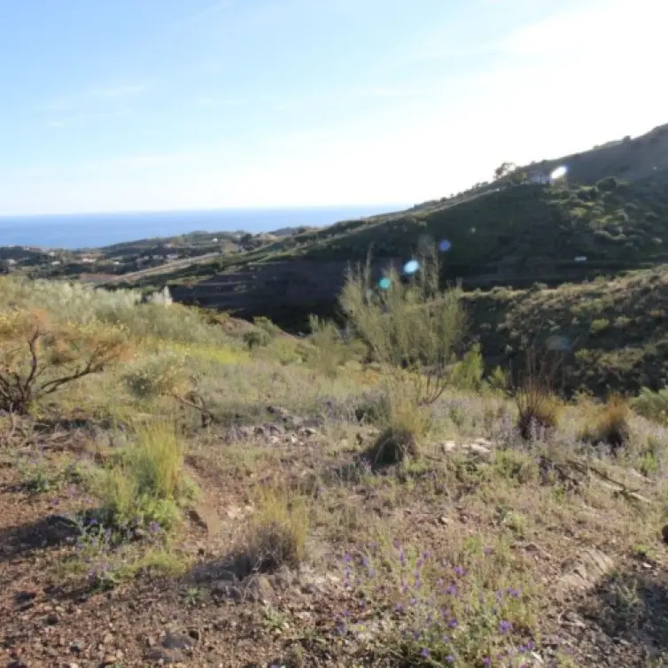Sale of residential plot in Benajarafe