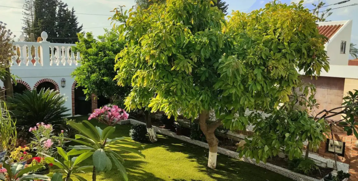 Sale of detached villa in Alhaurín de la Torre 5