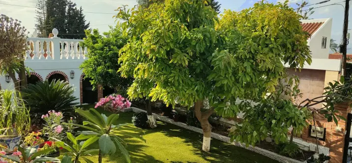 Sale of detached villa in Alhaurín de la Torre 4