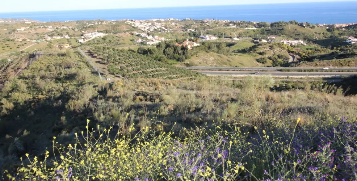 Продажа  жилого участка в Benajarafe 1