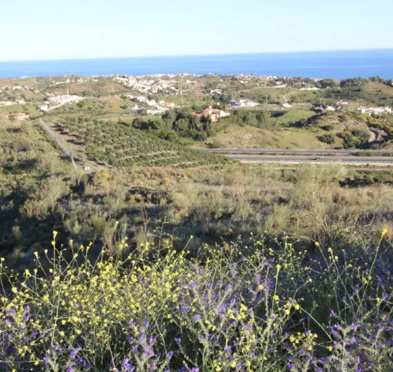 Venta de parcela residencial en Benajarafe