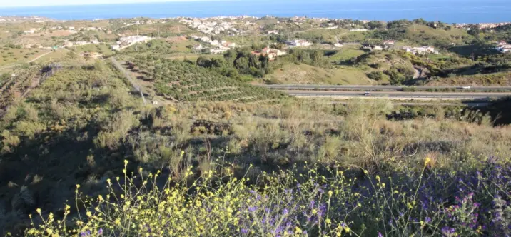 Venta de parcela residencial en Benajarafe 0