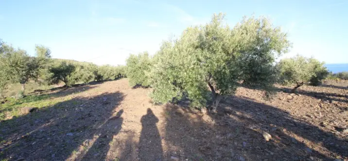 Venta de parcela residencial en Benajarafe 1