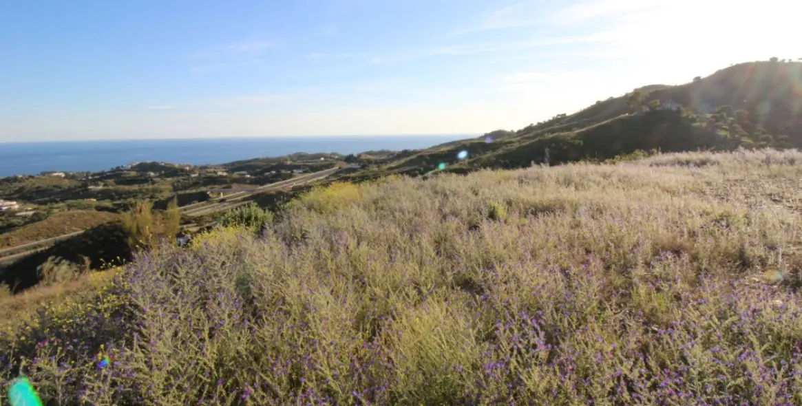 Продажа  жилого участка в Benajarafe 3