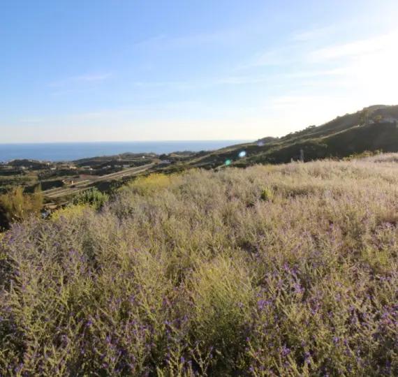 Venta de parcela residencial en Benajarafe