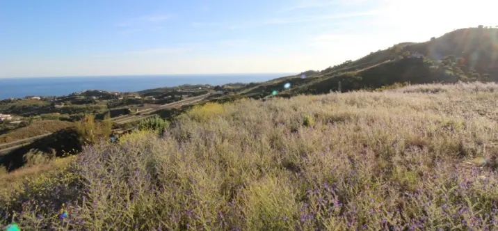 Venta de parcela residencial en Benajarafe 2