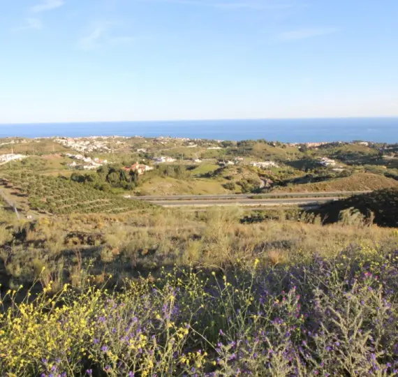 Venta de parcela residencial en Benajarafe