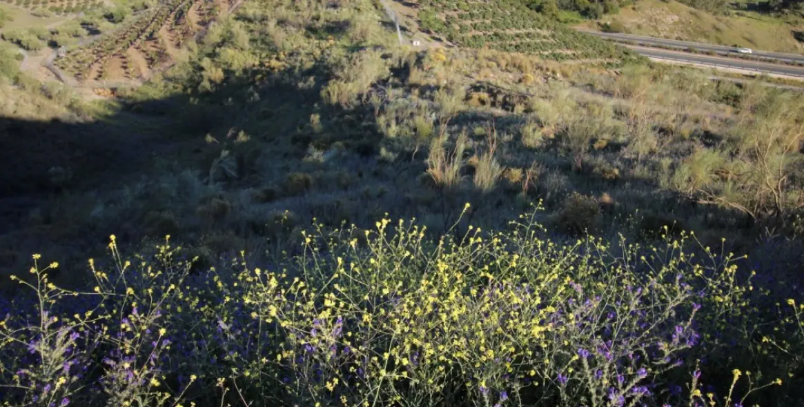 Продажа  жилого участка в Benajarafe 5