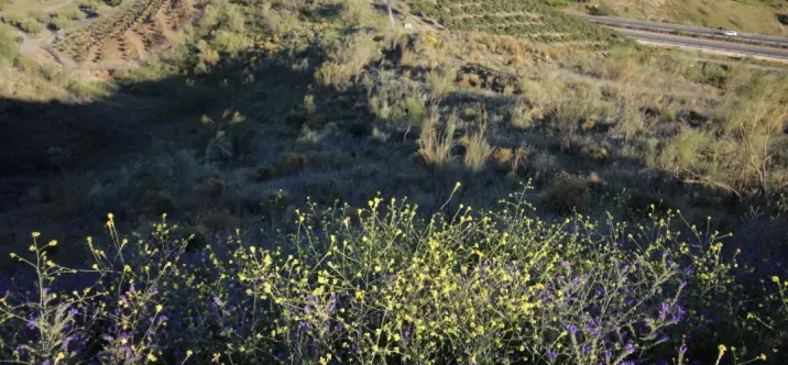 Venta de parcela residencial en Benajarafe 4