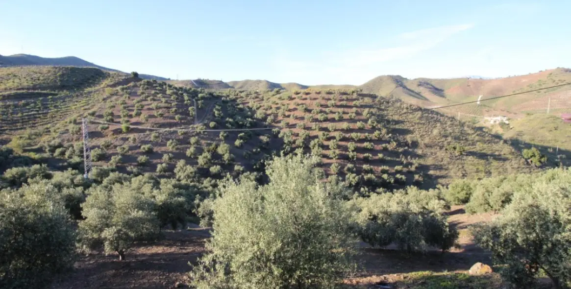 Продажа  жилого участка в Benajarafe 9