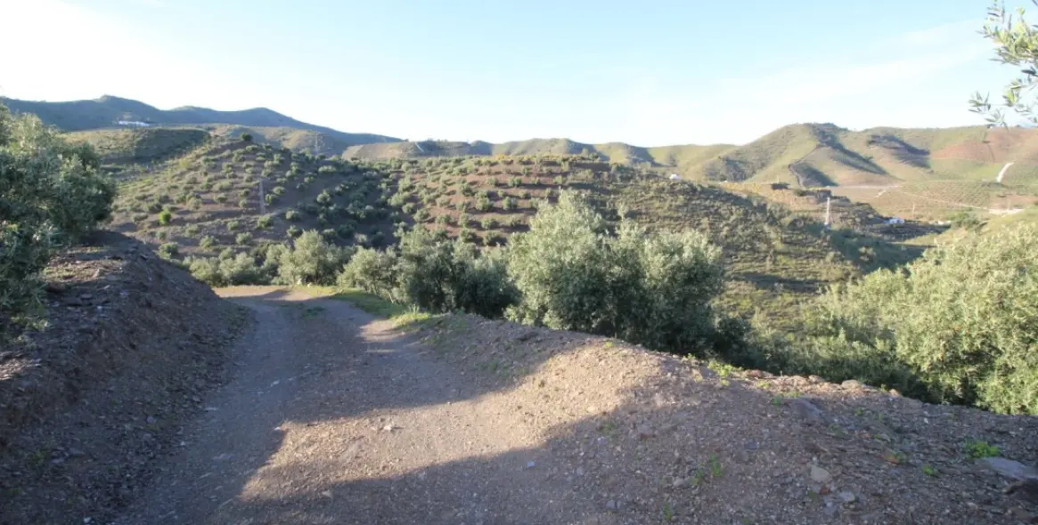 Продажа  жилого участка в Benajarafe 10