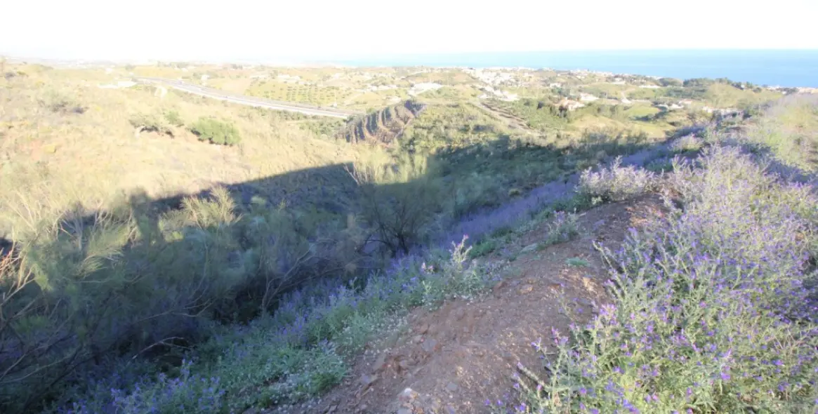 Продажа  жилого участка в Benajarafe 11