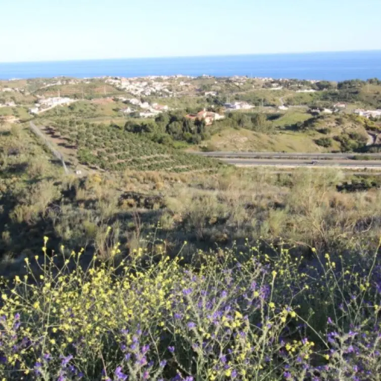 Sale of residential plot in Benajarafe