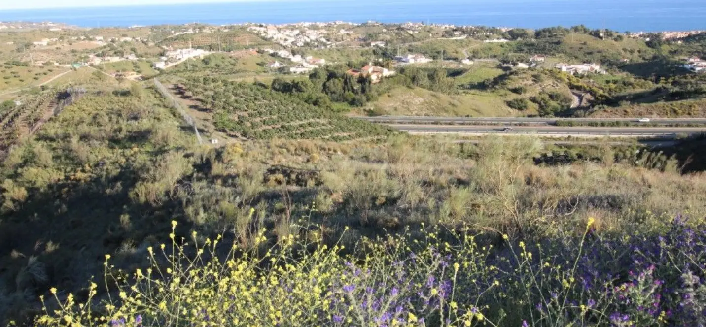 Sale of residential plot in Benajarafe 0
