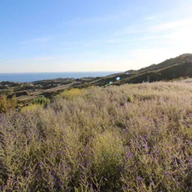Sale of residential plot in Benajarafe