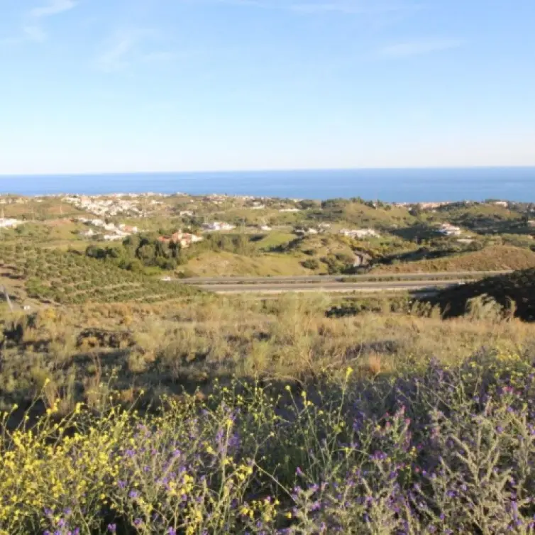 Sale of residential plot in Benajarafe