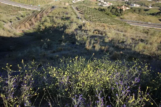 Image 5 thumb