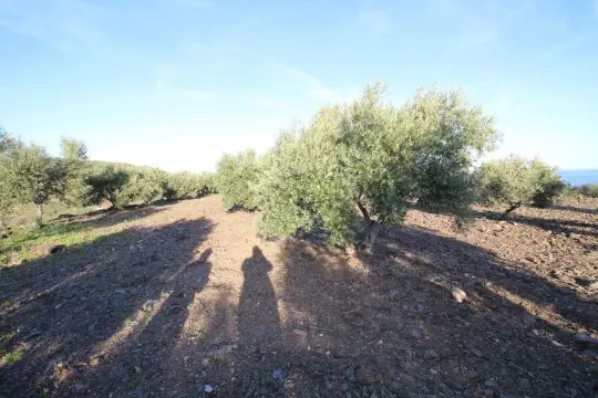 Image 8 thumb