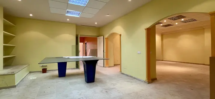 Venta de local comercial en Guadalmina Alta 2