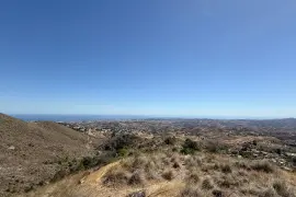 Image 7 thumb