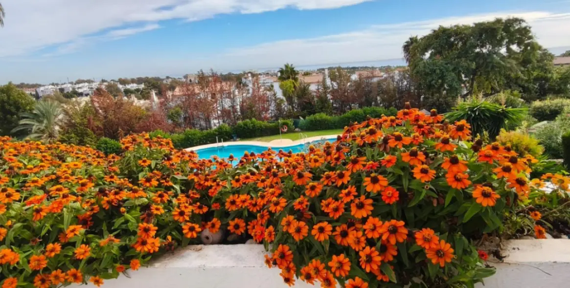 Sale of townhouse in El Paraiso 14