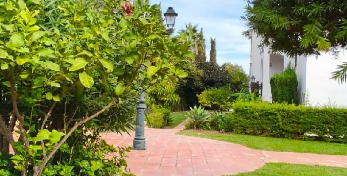 Sale of townhouse in El Paraiso 17