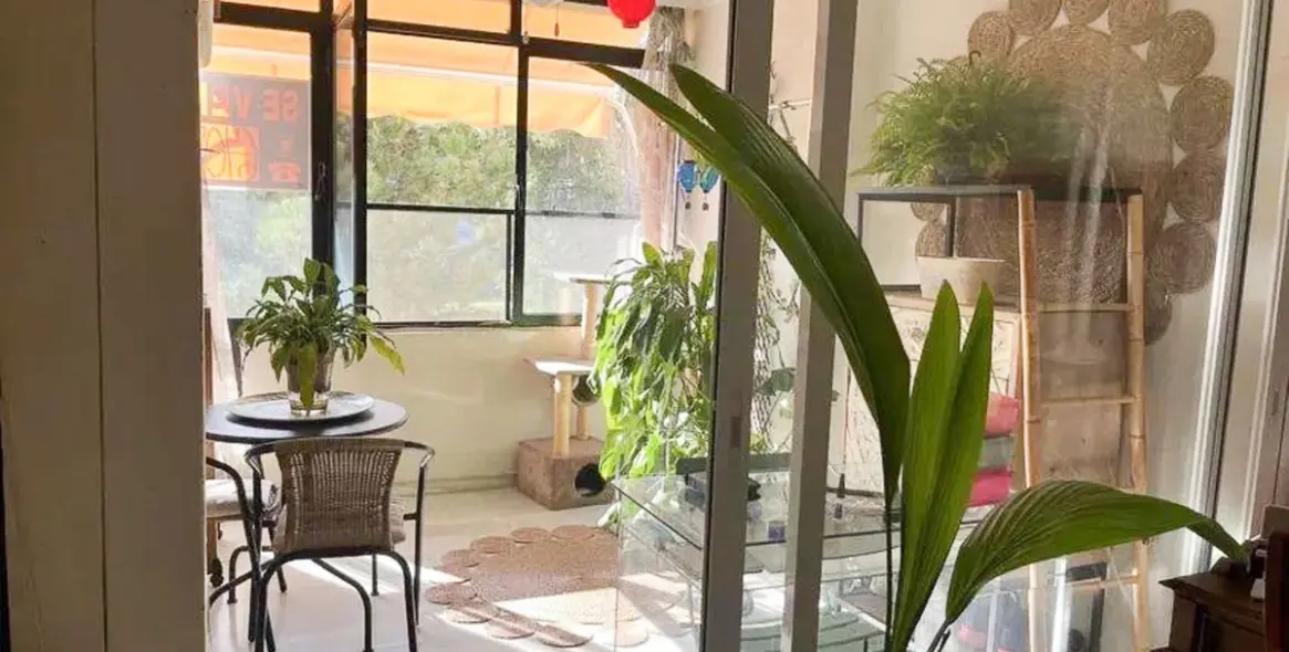 Sale of middle floor apartment in Nueva Andalucía 5