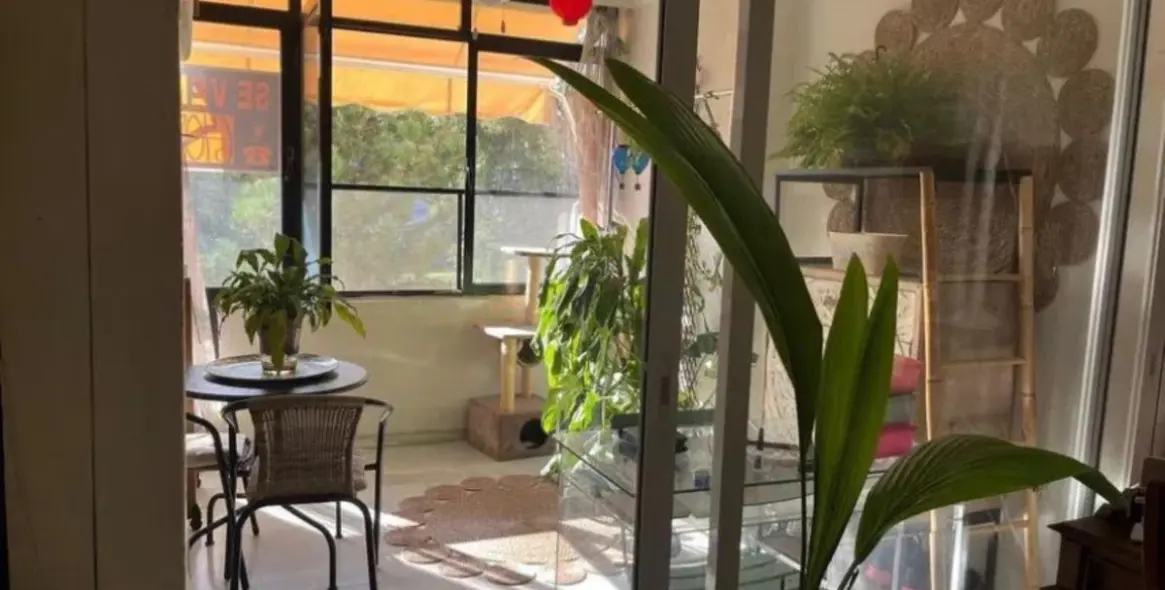 Sale of middle floor apartment in Nueva Andalucía 8