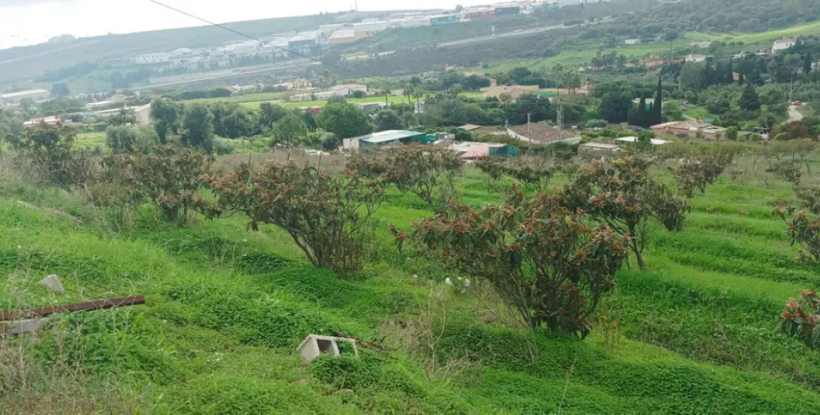 Venta de parcela residencial en 2º Línea de Playa 8