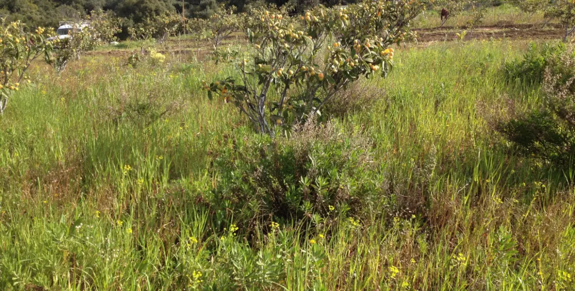 Venta de parcela residencial en 2º Línea de Playa 10