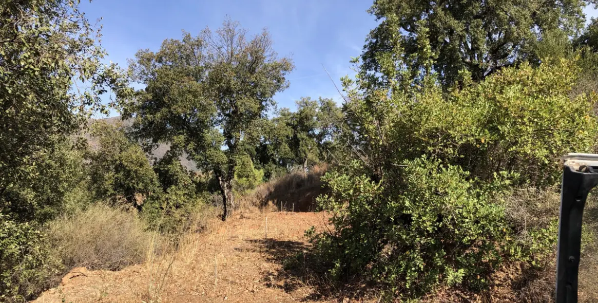 Venta de parcela residencial en 2º Línea de Playa 12